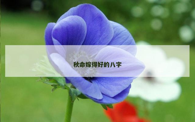 秋命嫁得好的八字