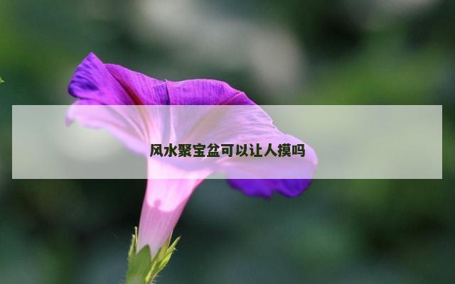 风水聚宝盆可以让人摸吗