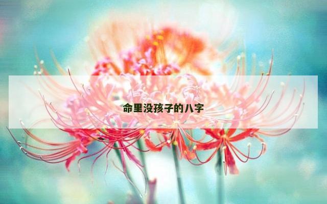 命里没孩子的八字