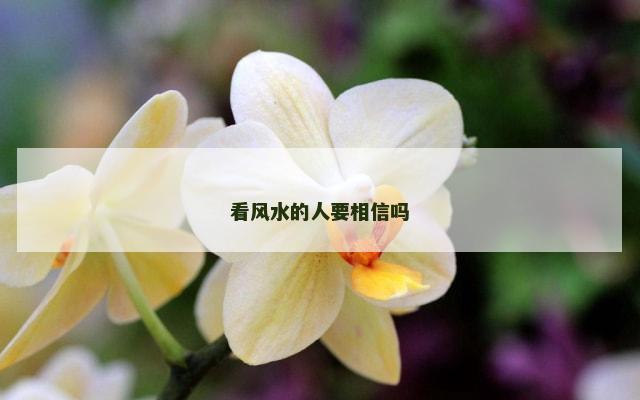 看风水的人要相信吗