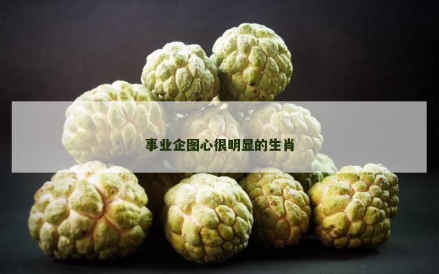 事业企图心很明显的生肖