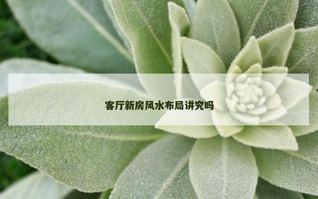 客厅新房风水布局讲究吗