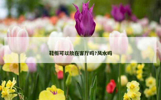 鞋柜可以放在客厅吗?风水吗