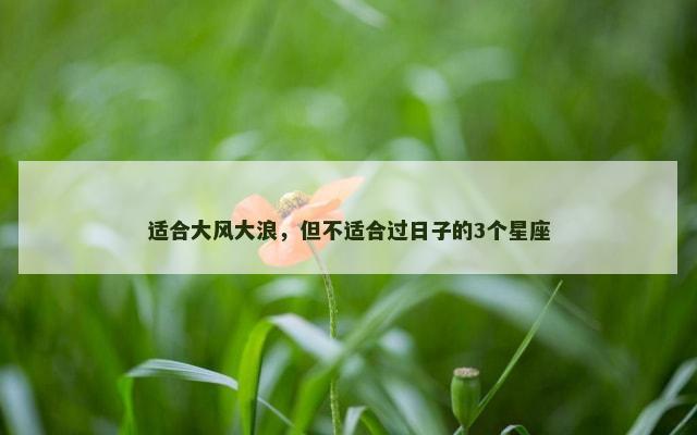 适合大风大浪，但不适合过日子的3个星座