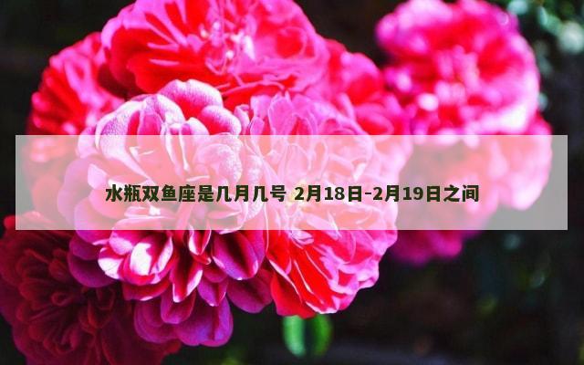水瓶双鱼座是几月几号 2月18日-2月19日之间