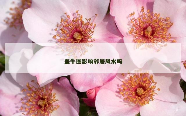 盖牛圈影响邻居风水吗
