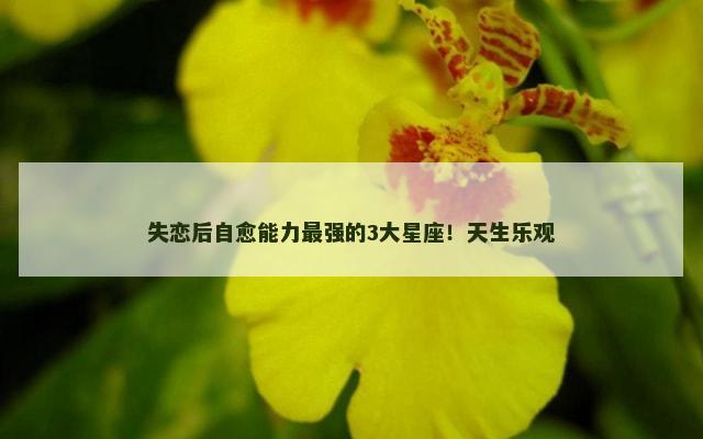 失恋后自愈能力最强的3大星座！天生乐观