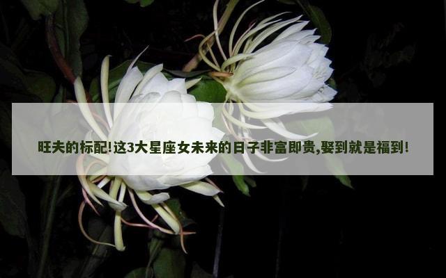 旺夫的标配!这3大星座女未来的日子非富即贵,娶到就是福到!