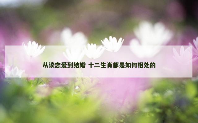 从谈恋爱到结婚 十二生肖都是如何相处的