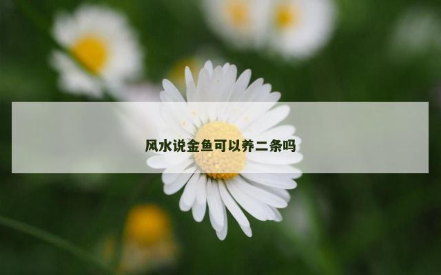 风水说金鱼可以养二条吗