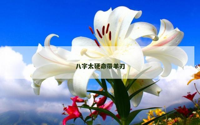 八字太硬命带羊刃