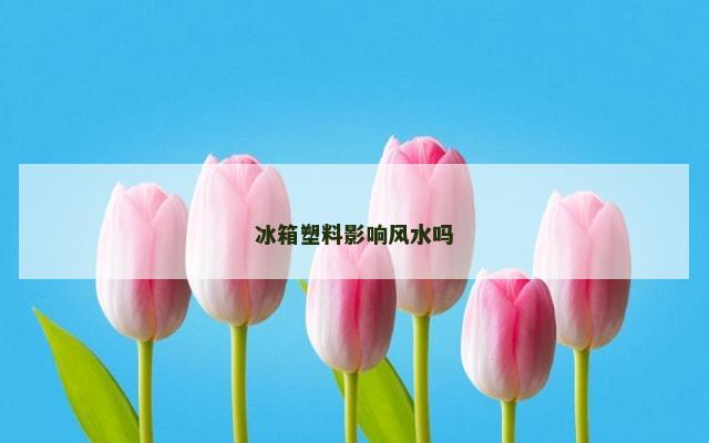 冰箱塑料影响风水吗