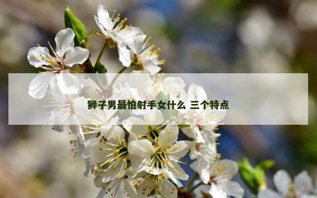 狮子男最怕射手女什么 三个特点