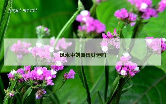 风水中刘海挡财运吗