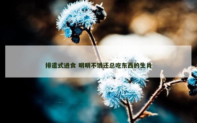 排遣式进食 明明不饿还总吃东西的生肖