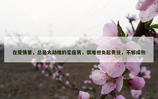 在爱情里，总是太幼稚的星座男，很难担负起责任，不够成熟