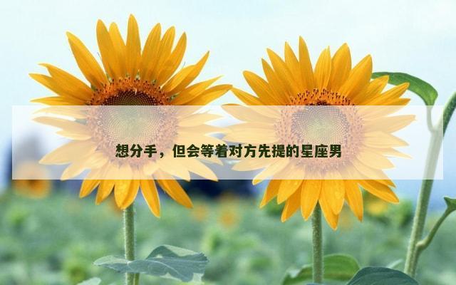 想分手，但会等着对方先提的星座男