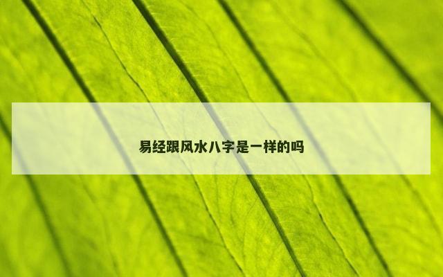 易经跟风水八字是一样的吗