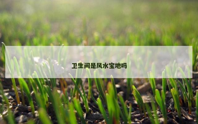 卫生间是风水宝地吗