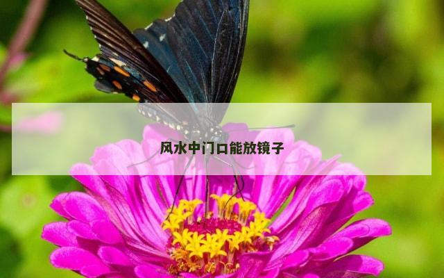 风水中门口能放镜子