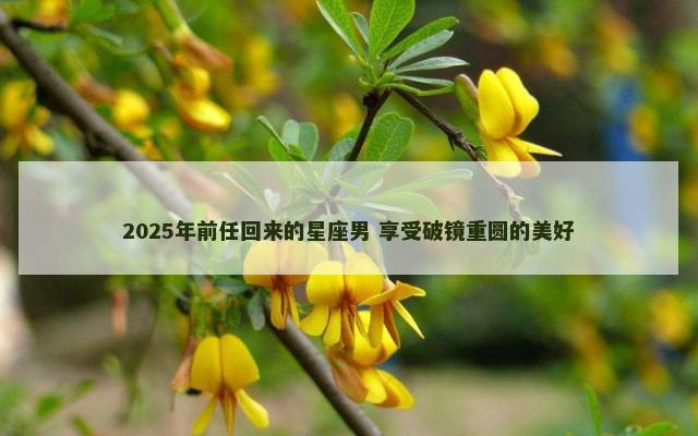 2025年前任回来的星座男 享受破镜重圆的美好