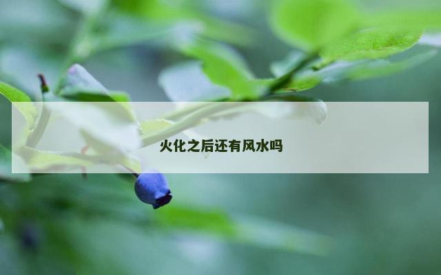 火化之后还有风水吗