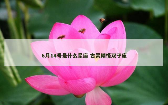 6月14号是什么星座 古灵精怪双子座