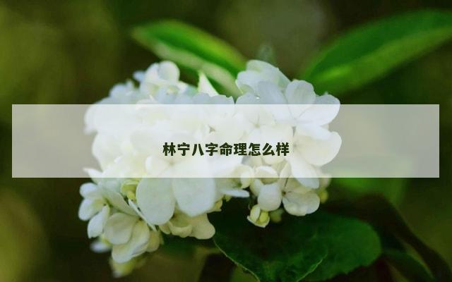 林宁八字命理怎么样