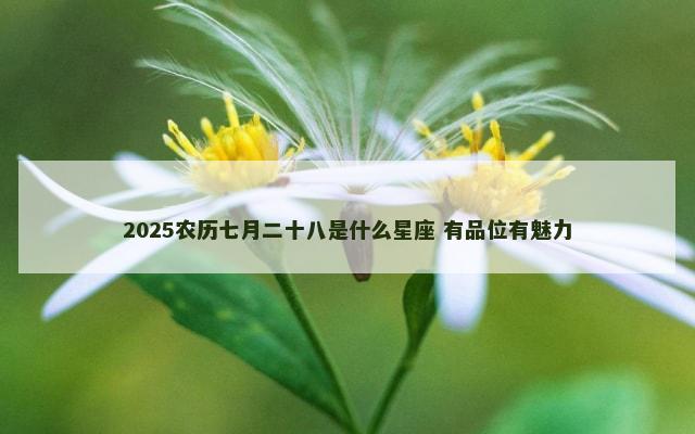 2025农历七月二十八是什么星座 有品位有魅力