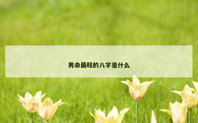 男命最旺的八字是什么