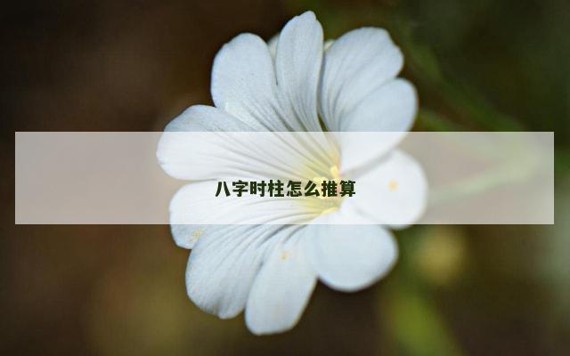 八字时柱怎么推算