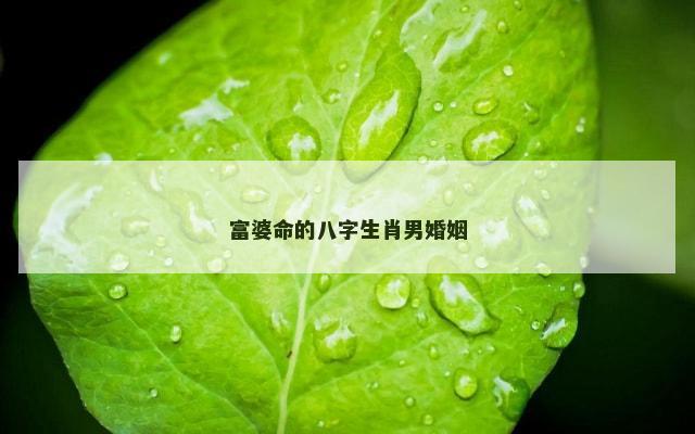 富婆命的八字生肖男婚姻
