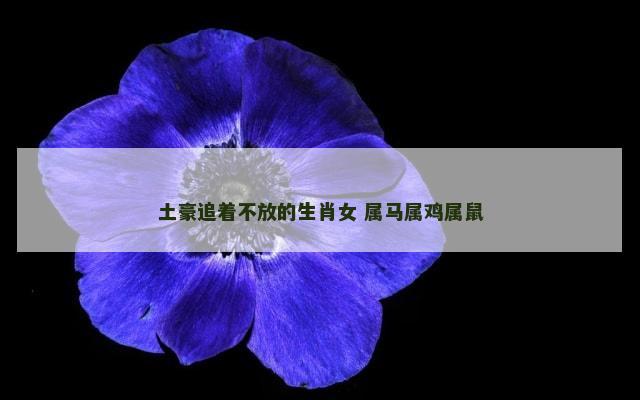 土豪追着不放的生肖女 属马属鸡属鼠