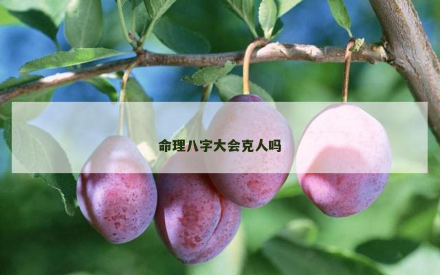 命理八字大会克人吗