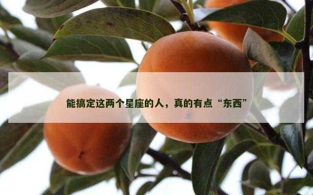 能搞定这两个星座的人，真的有点“东西”