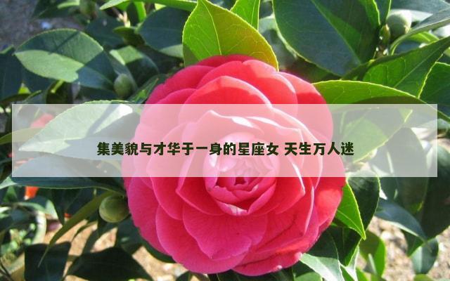 集美貌与才华于一身的星座女 天生万人迷
