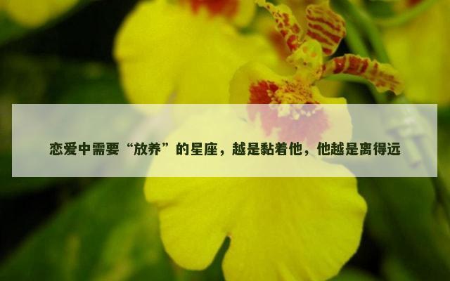 恋爱中需要“放养”的星座，越是黏着他，他越是离得远