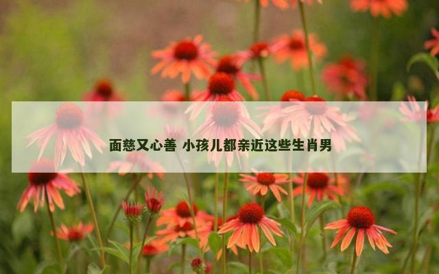 面慈又心善 小孩儿都亲近这些生肖男