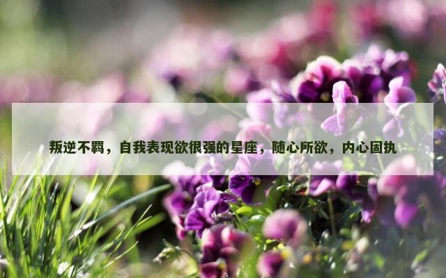 叛逆不羁，自我表现欲很强的星座，随心所欲，内心固执