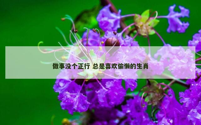 做事没个正行 总是喜欢偷懒的生肖