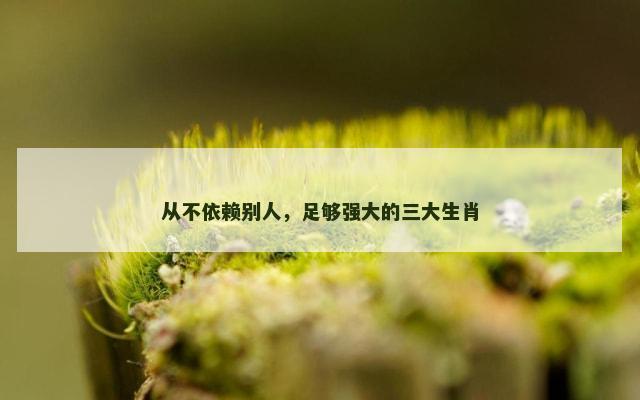 从不依赖别人，足够强大的三大生肖
