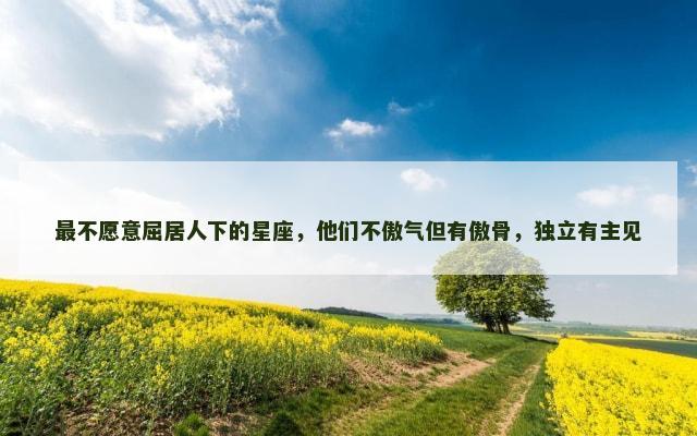 最不愿意屈居人下的星座，他们不傲气但有傲骨，独立有主见