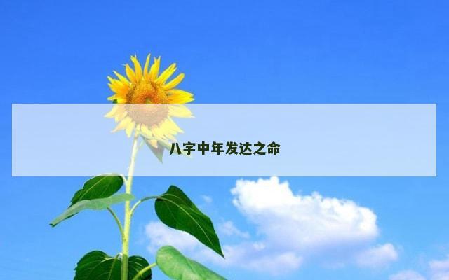 八字中年发达之命