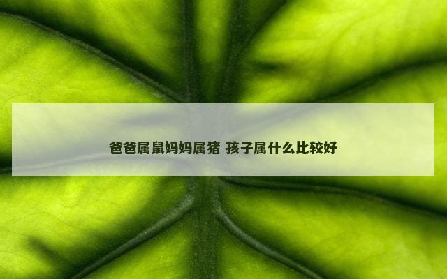 爸爸属鼠妈妈属猪 孩子属什么比较好