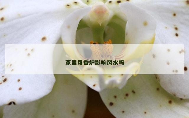 家里用香炉影响风水吗