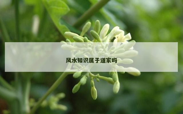 风水知识属于道家吗