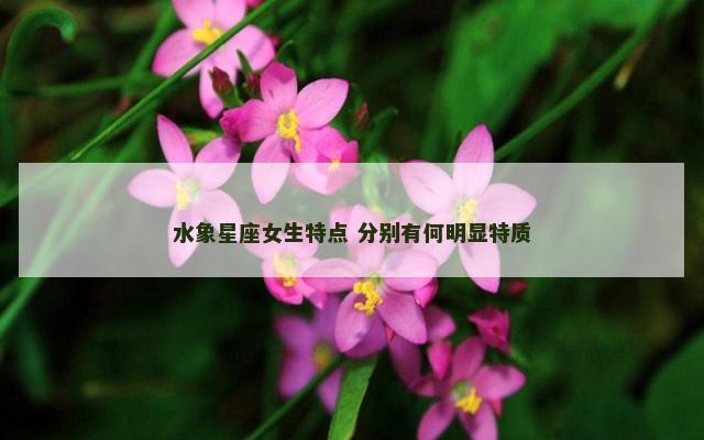 水象星座女生特点 分别有何明显特质