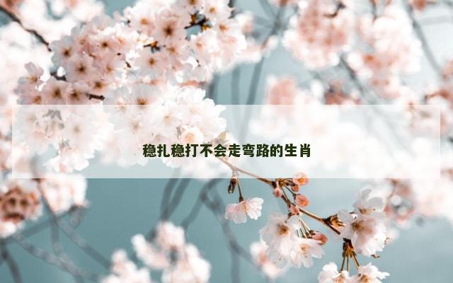 稳扎稳打不会走弯路的生肖