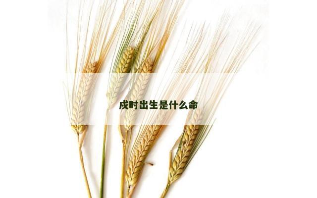 戍时出生是什么命