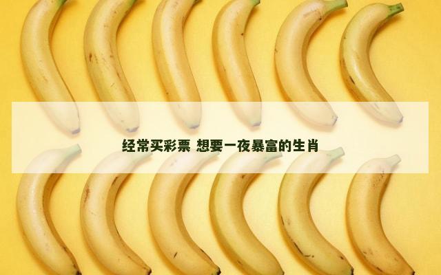 经常买彩票 想要一夜暴富的生肖